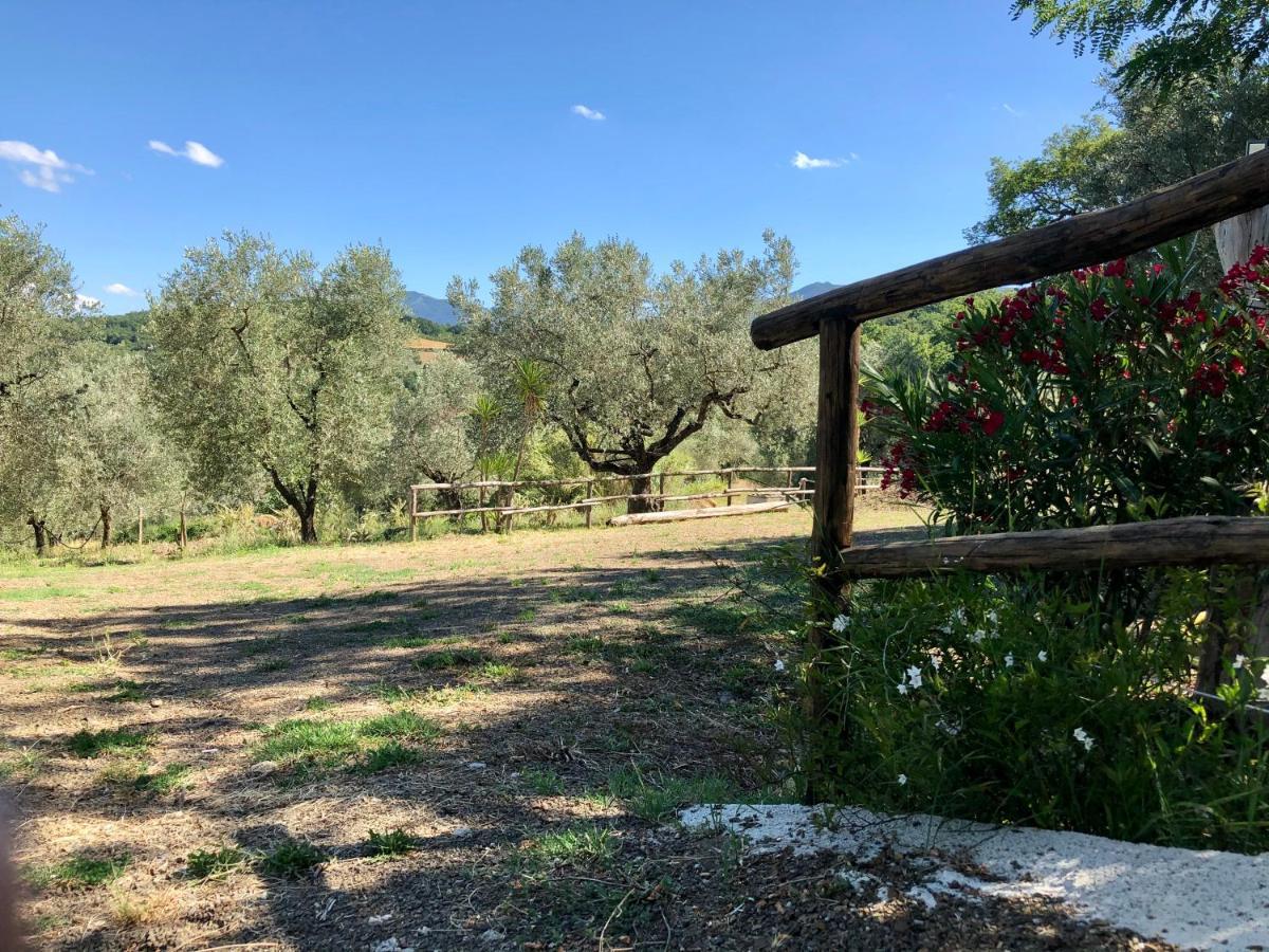 Il Casolare Degli Alburni Villa Castelcivita Exterior foto